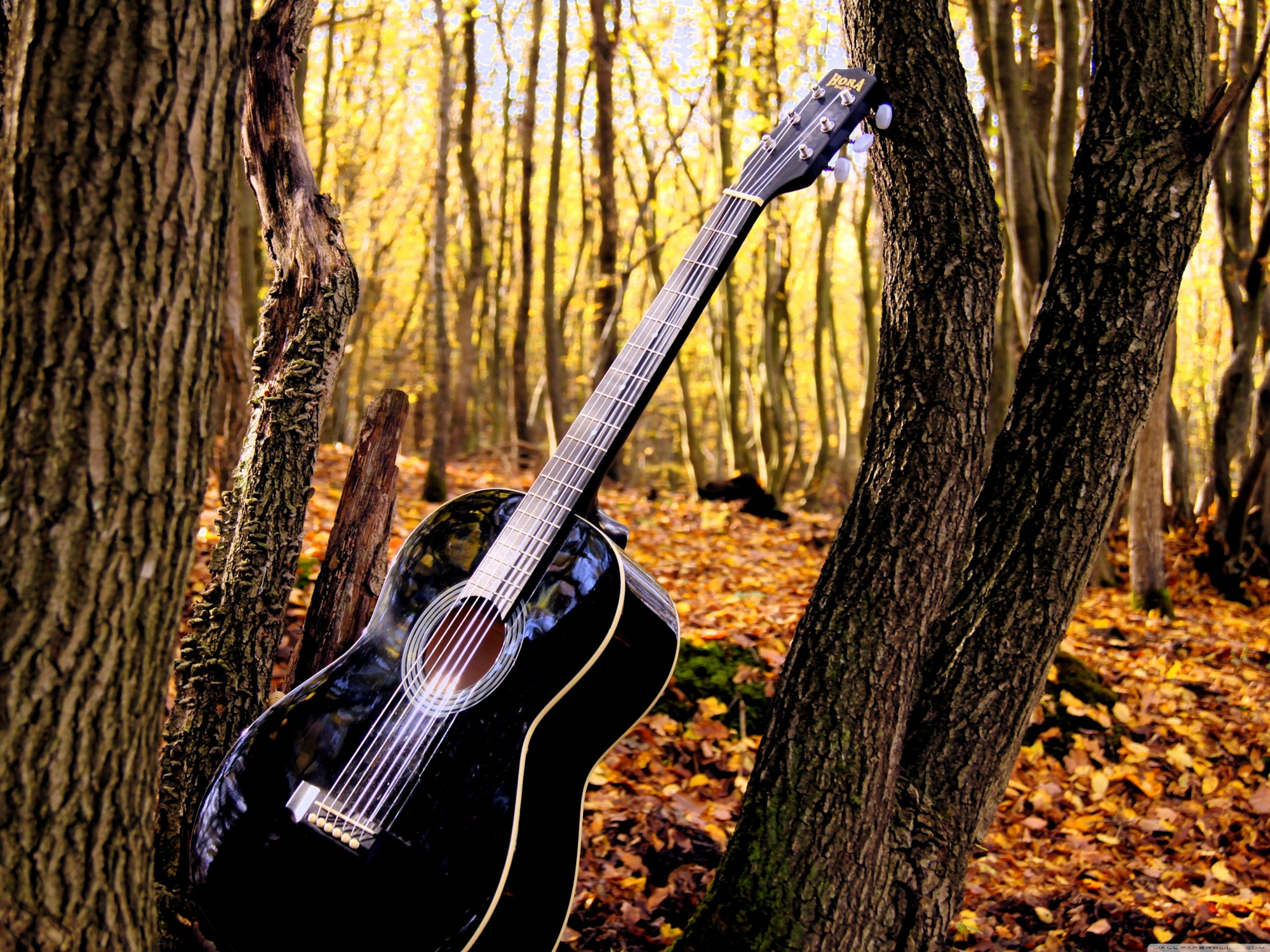 黑色木吉他高清桌面壁纸-05