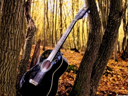 黑色木吉他高清桌面壁纸-05