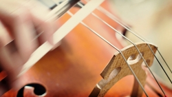 小提琴局部高清虚化电脑背景壁纸